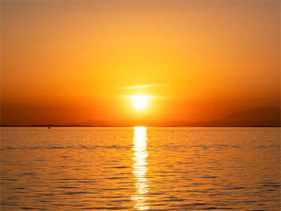 Reach Out to us for excellent Toilet Repair.