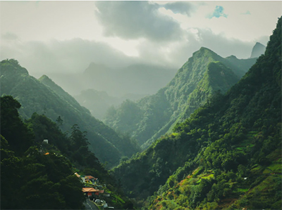 Learn more about our best and local Car Repair.