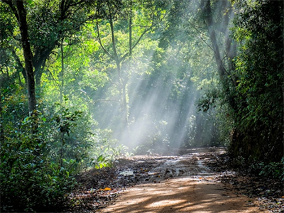 Reach Out to us for local and excellent Electric heater service.